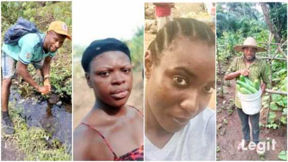 5 Nigerian youths who are making it in agriculture with their farmlands, one of them made N10m