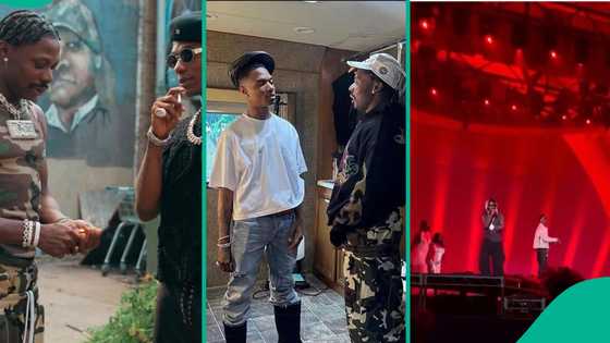 “Davido, Burna Boy no fit relate”: Reactions as Wizkid, Asake send fans to frenzy at Hollywood Bowl