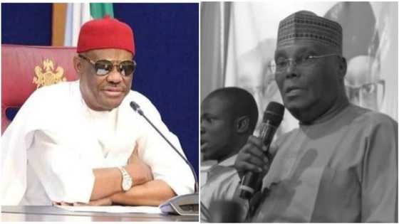 PDP Crisis: Atiku's camp drops bombshell, describes Wike as "failed Tik Tok comedian"