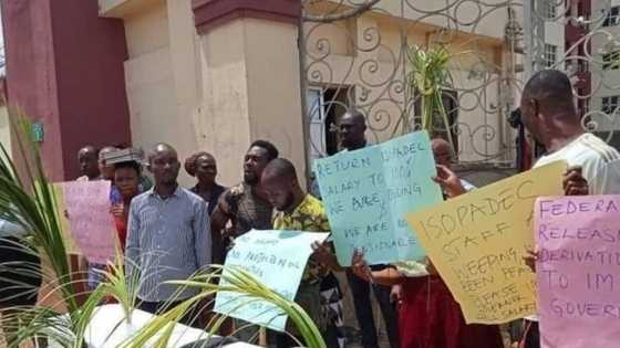 Imo state oil producing commission workers protest 80% Salary Slash