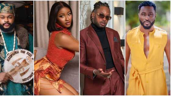 BBNaija All Stars: Whitemoney & Pere share how Cross took Kim from them, comment on her backside