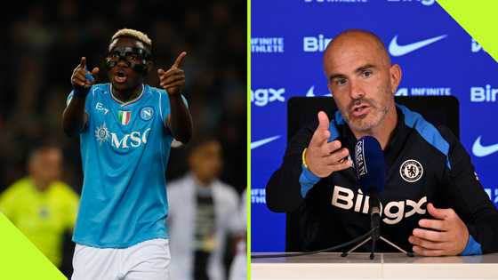 Enzo Maresca: Chelsea boss speaks on Osimhen's rumoured move