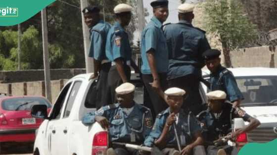 'Yan daudu sun farmaki ofishin Hisbah a Kano tare da yin fashe-fashe, an gano dalili