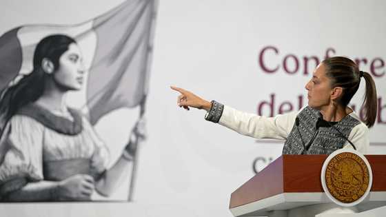 Mexico president welcomes being left off Trump's new tariffs list