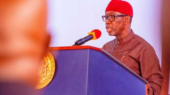 APC group sends strong message to Okowa over approval of new N25bn loan to plant palm trees