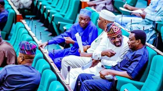 Suspend electricity payment for 2 months - Reps member urges FG