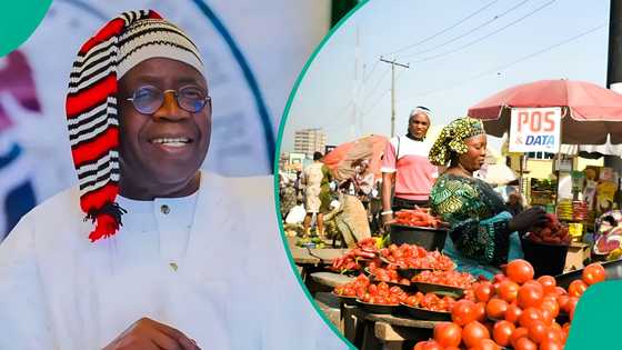 Nigeria’s reforms: How pain turned into progress for millions