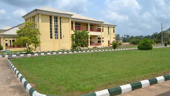 No JAMB? No Problem! Discover easy admission at Hezekiah University