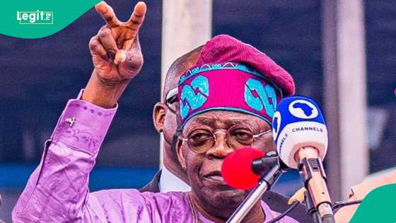 Why Tinubu’s reforms in oil and gas regulation are worth celebrating, energy group explains