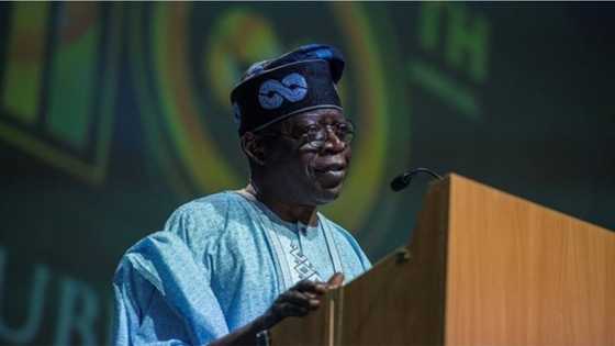 Tinubu not dead or hospitalised - Aide says, reveals APC leader's whereabouts