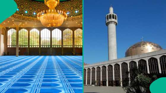 Yadda kashe Musulmai a Gaza ke saka turawa shiga Musulunci