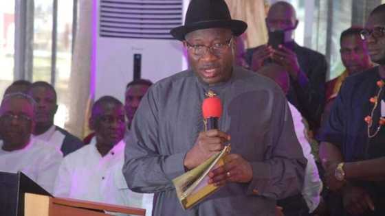 2023: Why Jonathan should not join race for presidency - APC chieftain