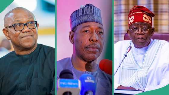 Peter Obi sends message to Tinubu as Nigerian gov accuses politicians, soldiers of conniving with Boko Haram