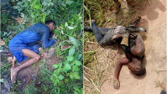 Hotunan hatsabiban ƴan bindiga da soji suka kashe a Arufu