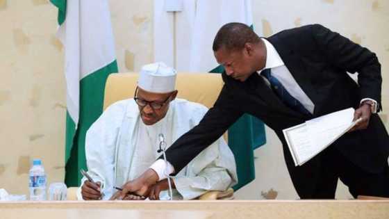 Battleline drawn as Buhari, Malami sue NASS at Supreme Court