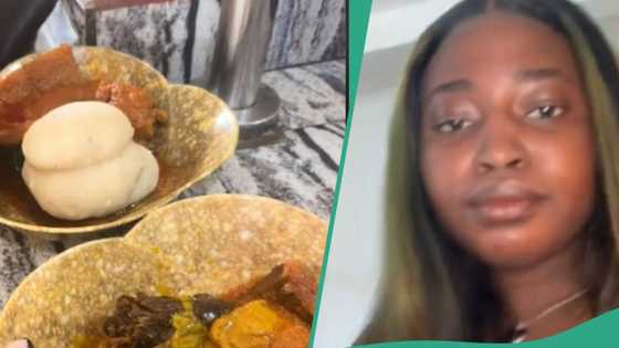 Nigerian lady shows variety of food she intends to consume when she comes to Nigeria, shares video