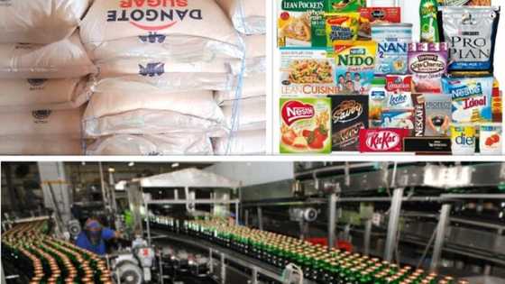 Nigerian Breweries, Dangote Sugar, Nestle, 8 others borrow N1.8trn in 6 months amid FX scarcity, others
