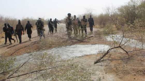 Over 200 terrorists killed, 80 motorcycles destroyed in Niger, says state govt