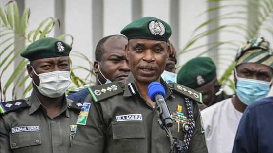 This is what EndSARS protesters really want - IGP Adamu makes stunning revelation