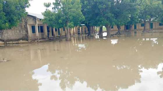 Ambaliya da iska mai tsanani sun laƙume rayukan mutane, gidaje sama da 2,000 sun halaka a Kano