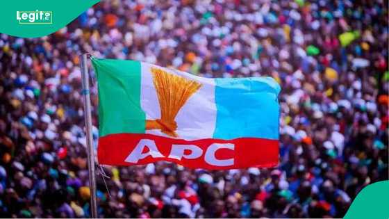 Ana wata ga wata: Majalisar SEC ta yi zama, an tsige shugaban jam'iyyar APC