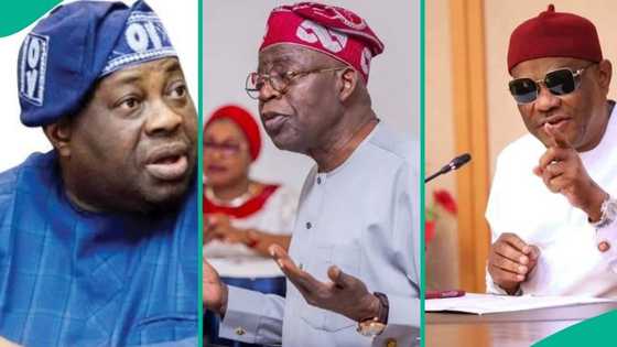 "Thought we've 2 presidents": Momodu reacts as Tinubu stops Wike from sealing PDP secretariat