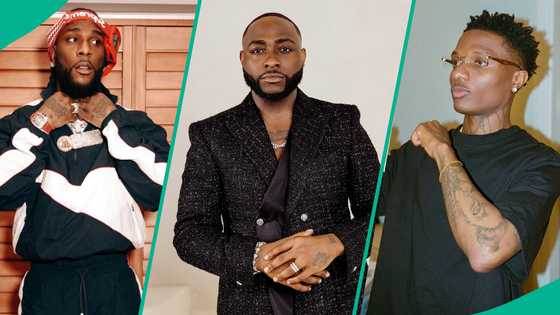 Burna Boy carpets the Afrobeats Big 3 debate with one bold statement, triggers reactions online