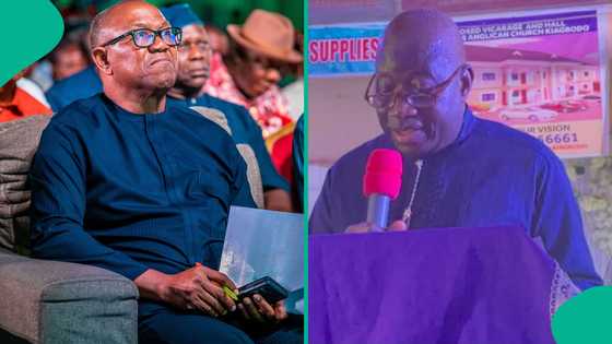 Has Goodluck Jonathan endorsed Peter Obi for 2027 election? Omokri speaks