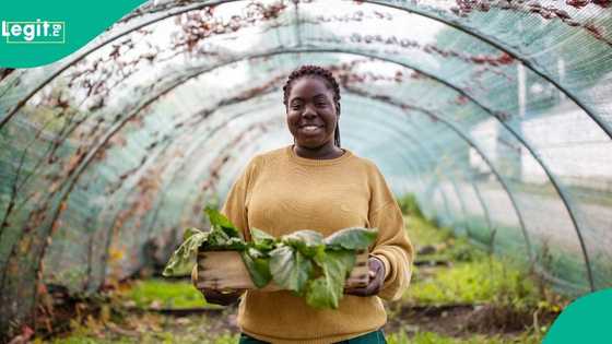 Farm Junction Foundation launches Most Beautiful Farmer Empowerment Programme