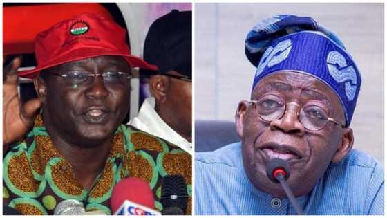 2023: Tinubu, Shettima get new task from labour congress ahead of election