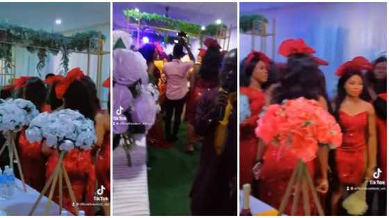 Nigerian deacon takes mic, bars DJ from playing secular music at son's wedding in video, says he's in charge