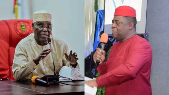Atiku has questions to answer about his links to terrorists, says Fani-Kayode