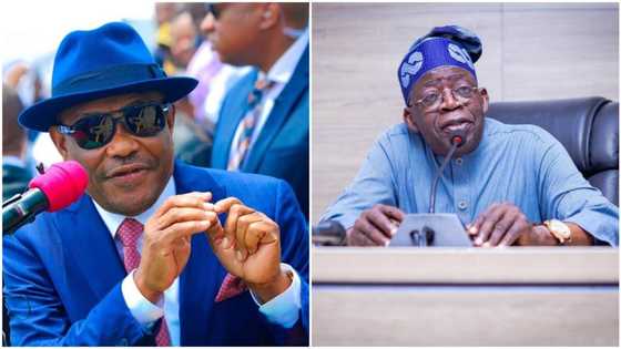 Tinubu offered senatorial ticket to Wike? Rivers governor opens up