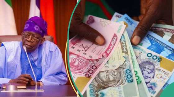 “We have our views”: Tinubu’s govt sets ‘fair’ naira to dollar exchange rate target by December 2023