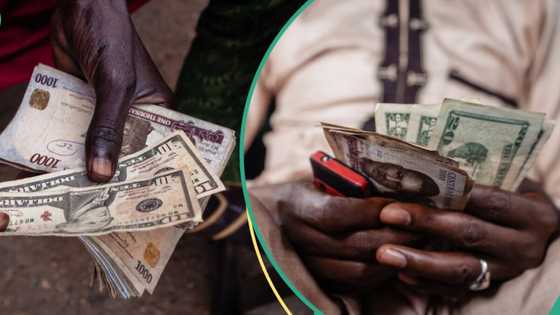 CBN takes another step to crash dollar, predicts new exchange rate