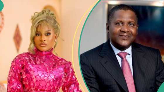 BBNaija Phyna’s associate opens up on demands she made from Dangote amid N1bn allegations