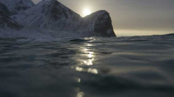 Norway postpones deep-sea mining activities for four years