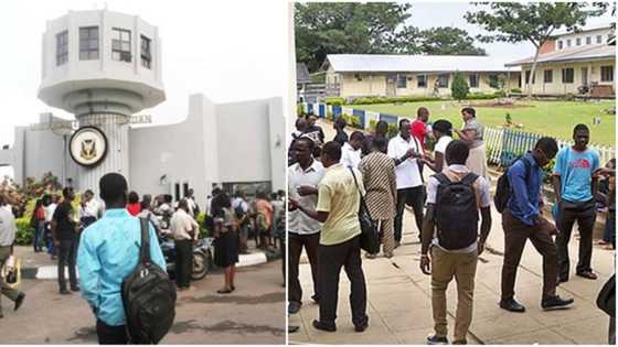 COVID-19: ASUU, vice chancellors clash over reopening of universities