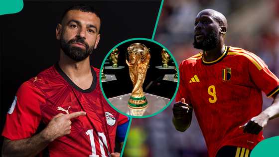 Belgium vs Egypt: Mysterious cat predicts 2026 FIFA World Cup group stage match