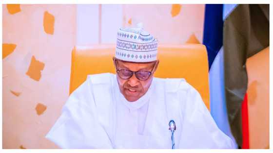 BREAKING: Buhari okays committee to implement Petroleum Industry Act