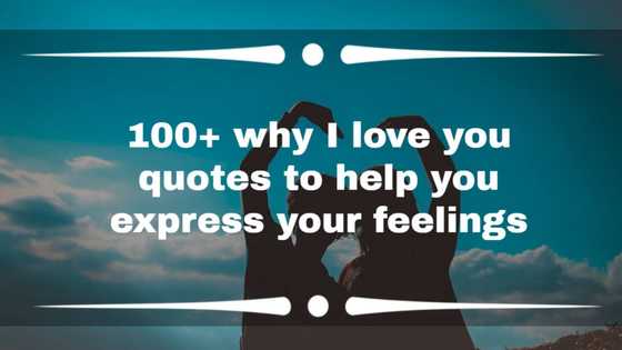 100+ why I love you quotes to help you express your feelings