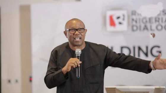 Ike Ekweremadu: Peter Obi speaks on travails of former Deputy Senate President