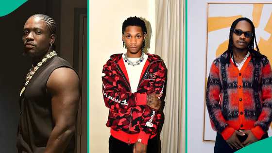VDM reacts to Lil Smart's arrest, says his mother has been crying, shares plan: "He insulted me"
