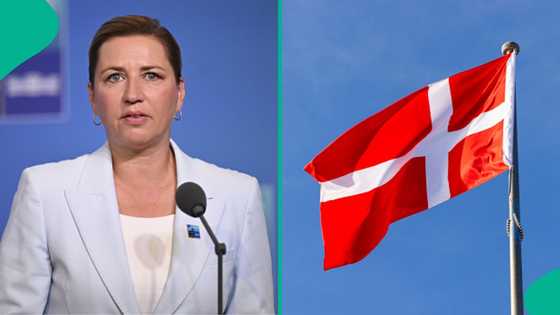 Denmark explains how many years foreign workers must live in the country to get citizenship in 2026