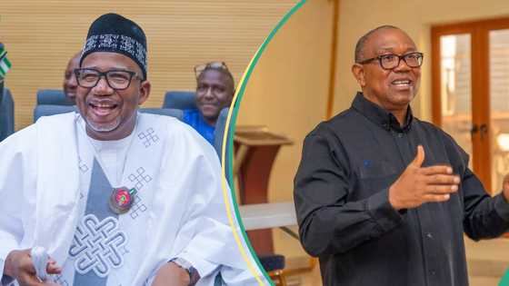 2027 elections: Fresh twist as Northern governor urges Peter Obi to return to PDP
