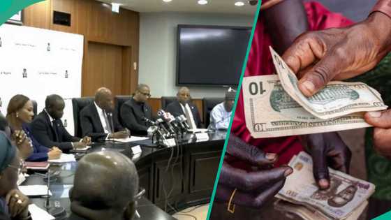CBN's MPC member projects new naira to dollar exchange rate