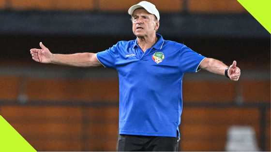 Gernot Rohr names Benin's disadvantage ahead of facing Nigeria in AFCON 2025 qualifiers