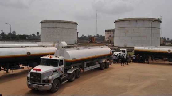 Anambra governorship election: Petroleum marketers announce when filling stations will shut down