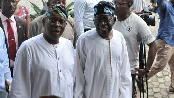 2023: APC's founding father reveals top secret on zoning arrangement, dashes south's presidency hope