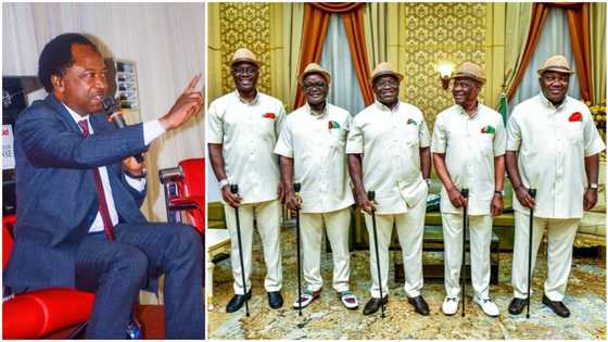"They couldn’t even help themselves": Shehu Sani lampoons Wike, other G5 governors after Atiku's loss